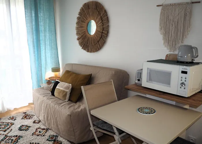 Studio, Balcon Et Acces Direct Page